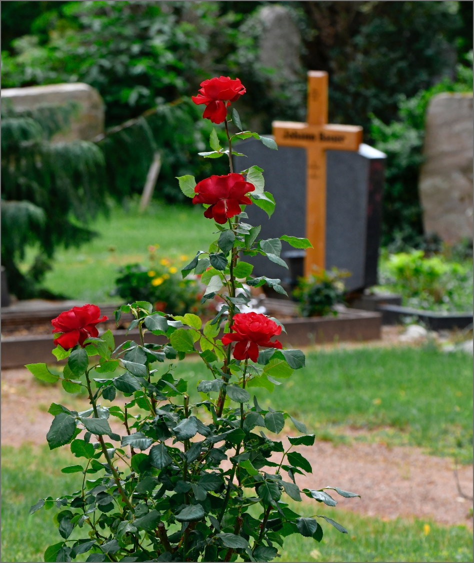 Individuelle Ruhestätten